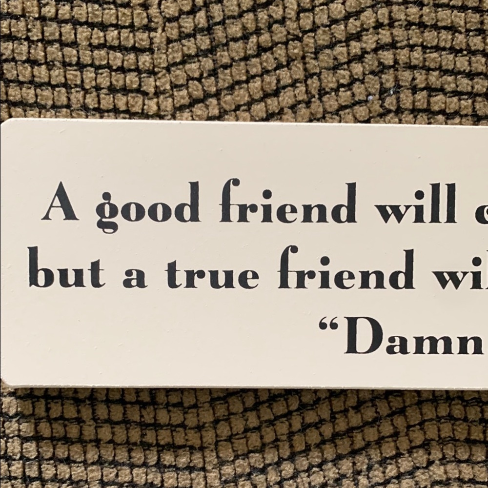 Humorous Friendship Quote Sign - Picture 2 of 13